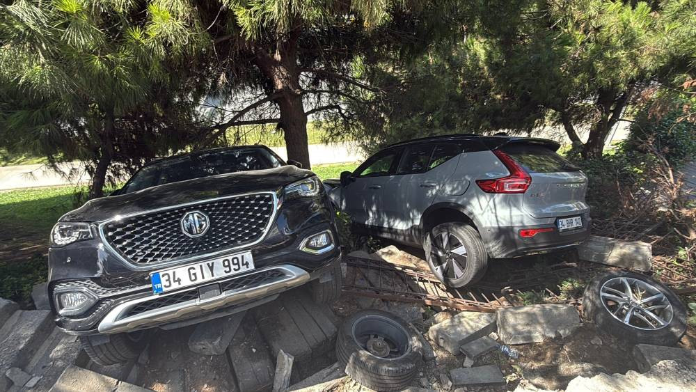 İstanbul göbeğinde yaşandı! Fren yerine gaza bastı: Kadın sürücü ağaçlık alana uçtu