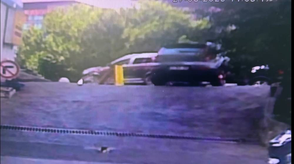 İstanbul göbeğinde yaşandı! Fren yerine gaza bastı: Kadın sürücü ağaçlık alana uçtu