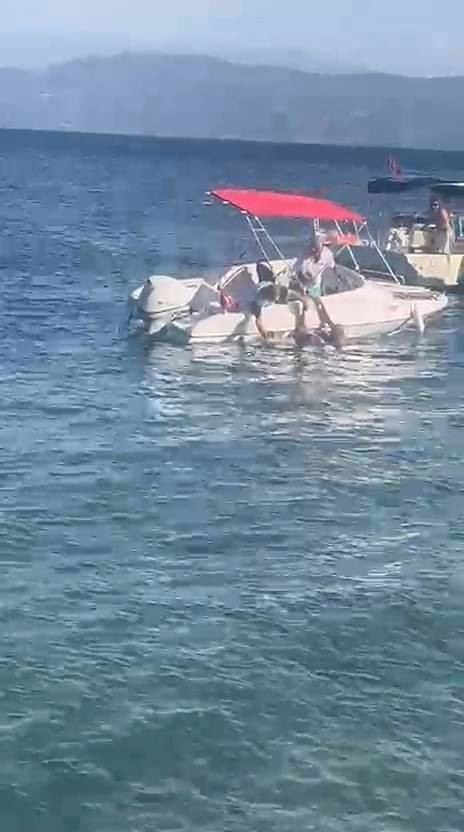 Yalova’da sürat teknesinin çarptığı kadın, ağır yaralandı