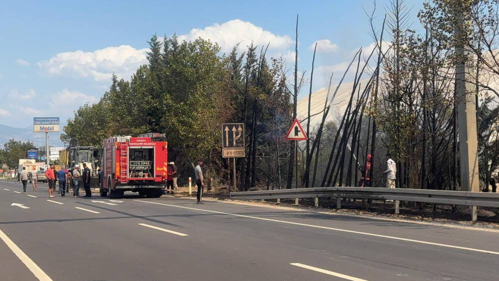 Ağaçlık alanda çıkan yangın korkuttu!