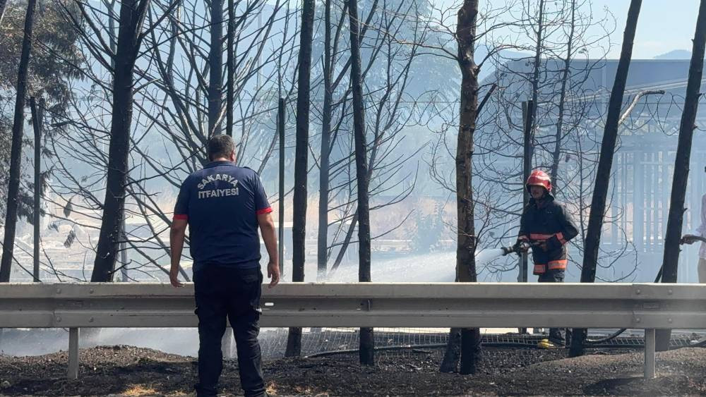 Ağaçlık alanda çıkan yangın korkuttu!