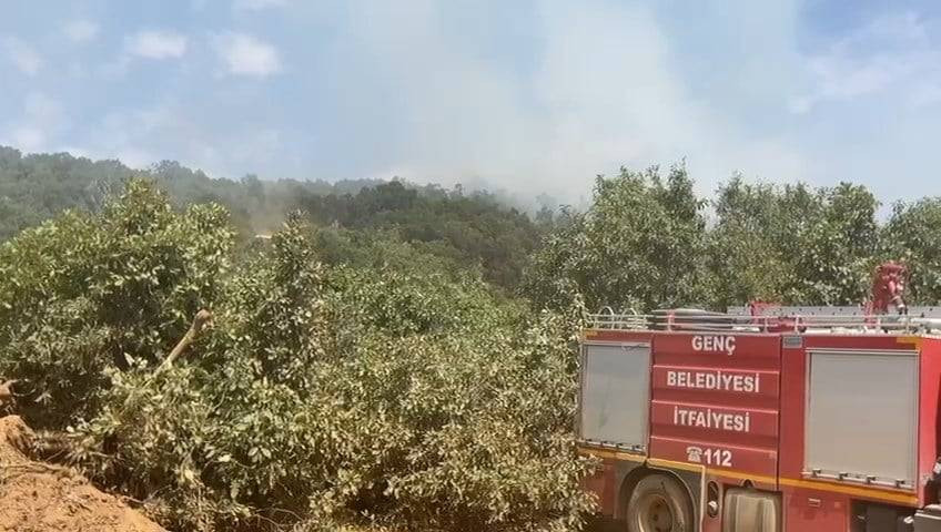 Bingöl’de orman yangını paniği: Helikopter devrede!