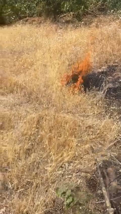 Bingöl’de orman yangını paniği: Helikopter devrede!