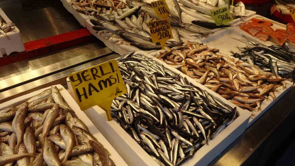 Balıkçılar 35 yılın ilkiyle sarsıldı! Hamsi alarm verdi: Sezon için kötü haber