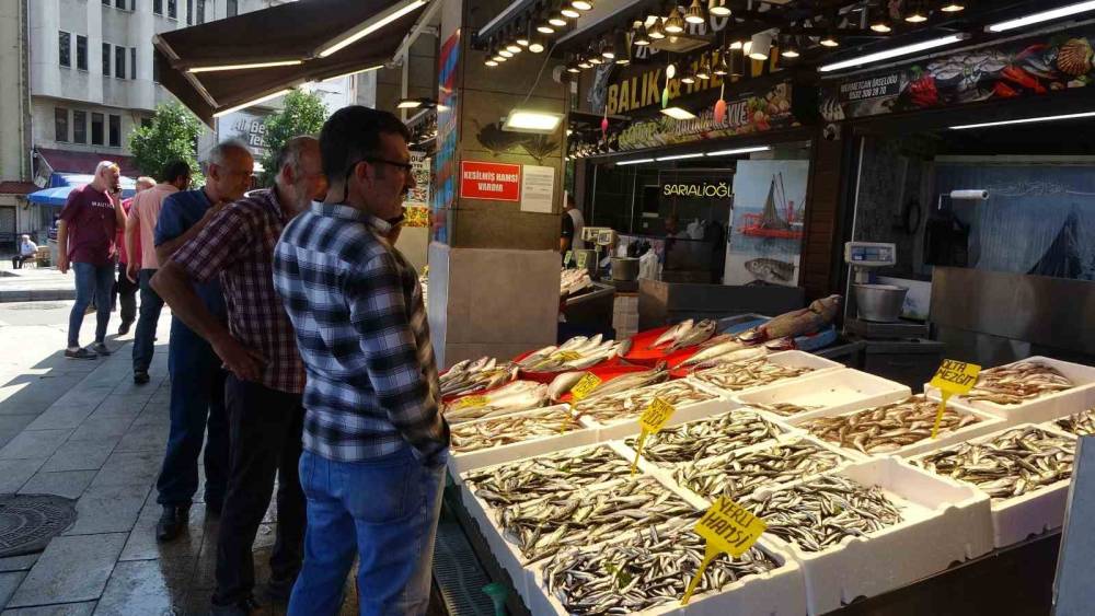 Balıkçılar 35 yılın ilkiyle sarsıldı! Hamsi alarm verdi: Sezon için kötü haber