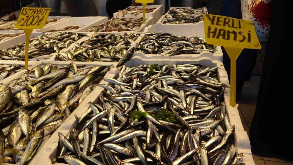 Balıkçılar 35 yılın ilkiyle sarsıldı! Hamsi alarm verdi: Sezon için kötü haber