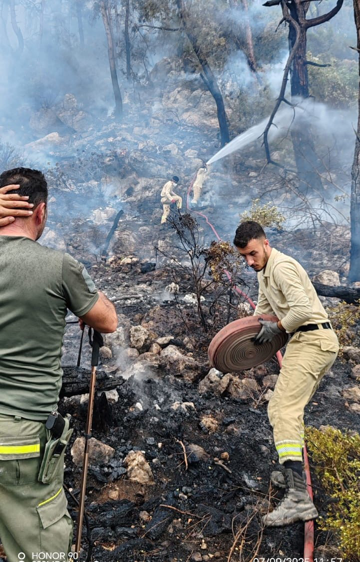 antalyada-orman-yangini-ek-fotograf-1.jpg