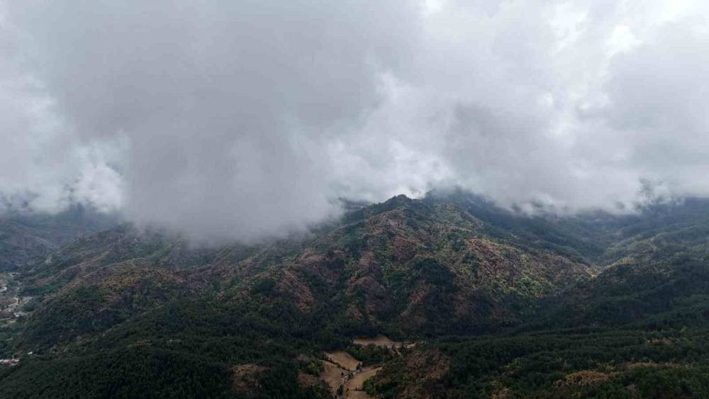 Ilgaz Dağı'nda sonbahar ve sisin görsel şöleni!