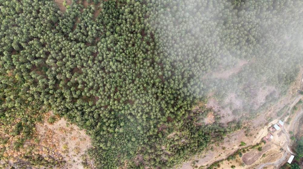 Ilgaz Dağı'nda sonbahar ve sisin görsel şöleni!