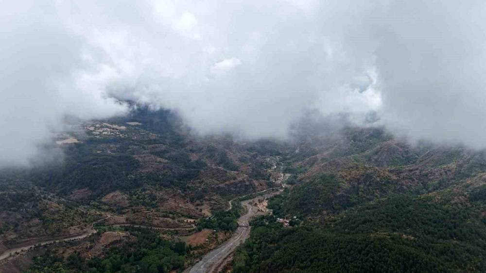 Ilgaz Dağı'nda sonbahar ve sisin görsel şöleni!