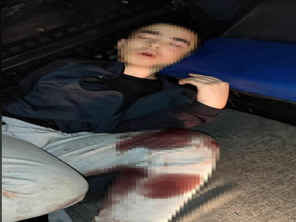 902853.jpg