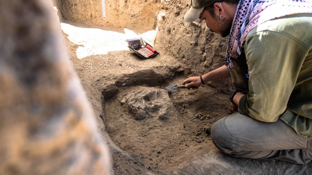 Bebekler gömüldü, yetişkinler yakıldı! Konya’da 3.500 yıllık sır