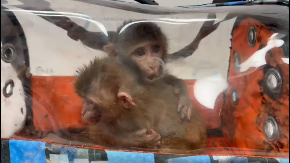 Habur’da şok operasyon! Kaçakçılara darbe