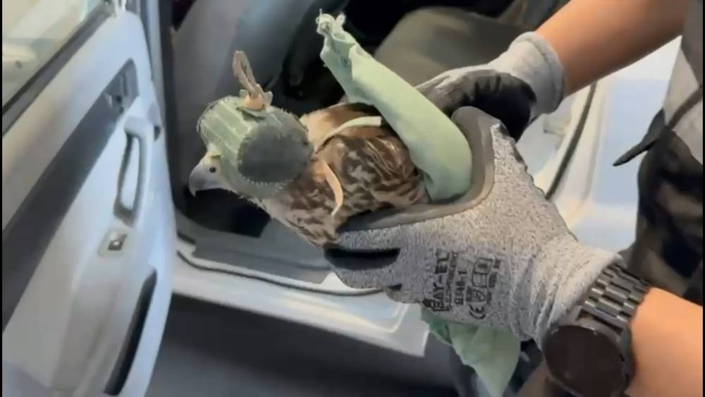 Habur’da şok operasyon! Kaçakçılara darbe