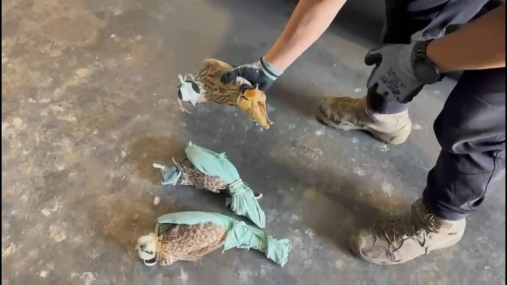 Habur’da şok operasyon! Kaçakçılara darbe