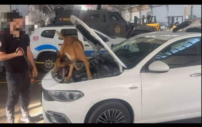 Sahte dolar ve uyuşturucu! Van’da nefes kesen operasyon