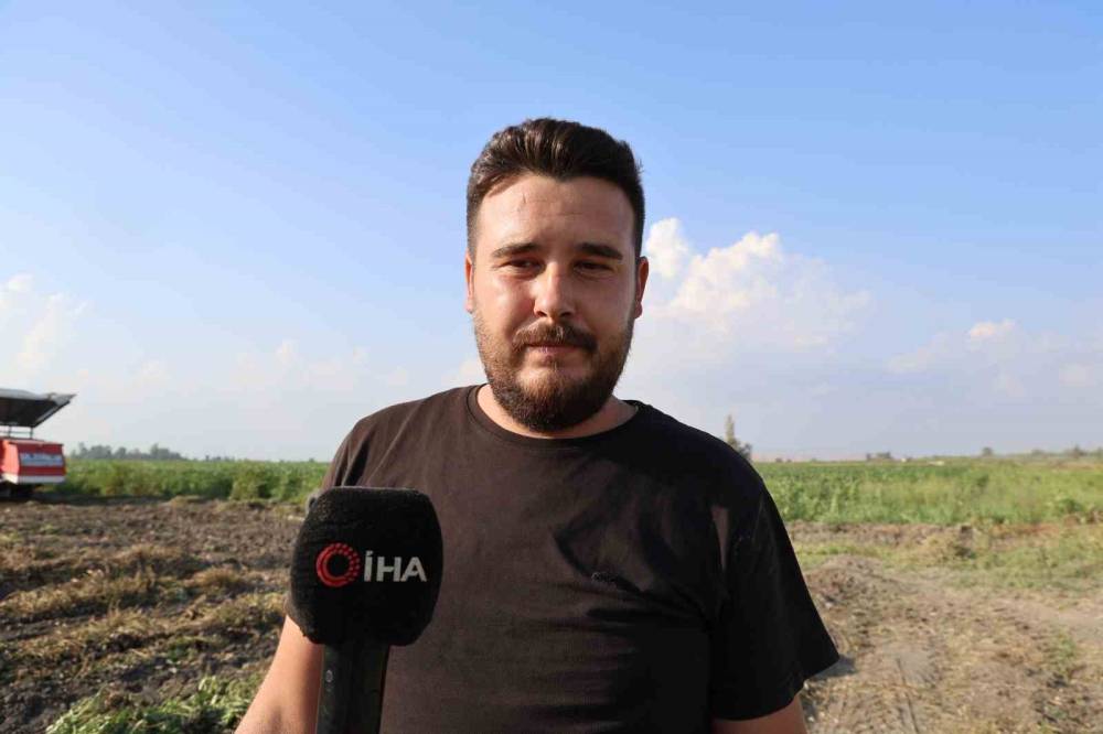 Yer fıstığında üreticinin yüzü güldü