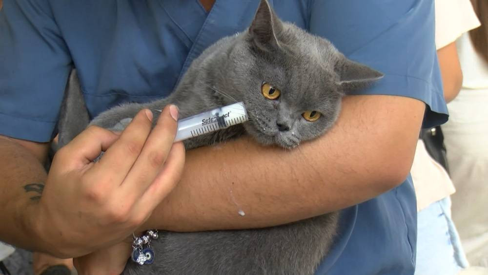 İstanbul’da yangında can pazarı! Ölü ve yaralılar var