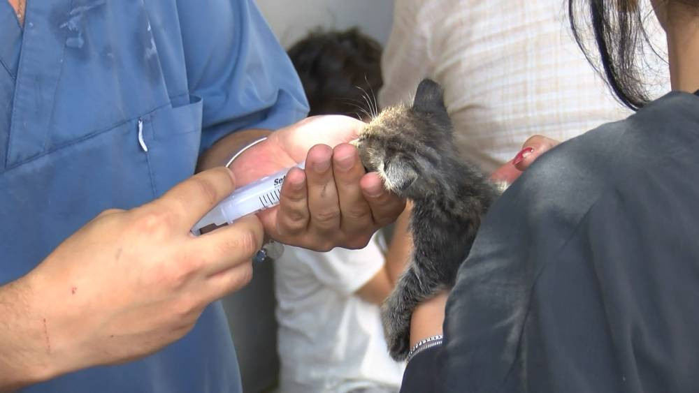 İstanbul’da yangında can pazarı! Ölü ve yaralılar var