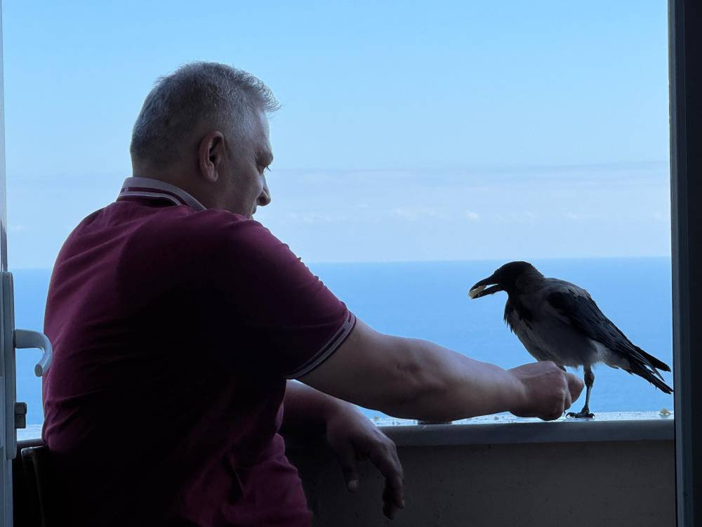 Fındık bahçesinden gelen dostluk! Hamsiyi çok seviyor