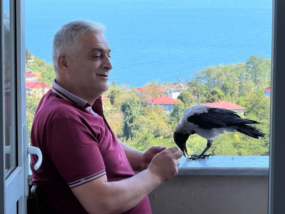 Fındık bahçesinden gelen dostluk! Hamsiyi çok seviyor