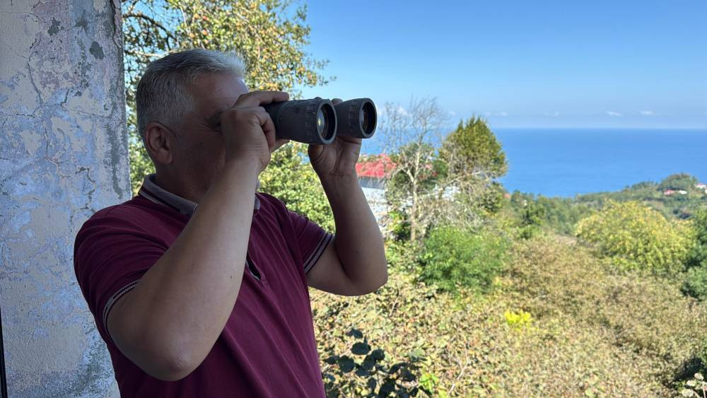 Fındık bahçesinden gelen dostluk! Hamsiyi çok seviyor