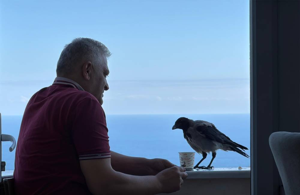 Fındık bahçesinden gelen dostluk! Hamsiyi çok seviyor