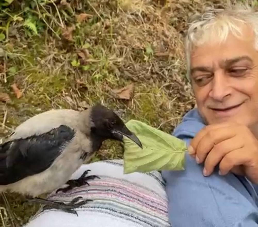 Fındık bahçesinden gelen dostluk! Hamsiyi çok seviyor