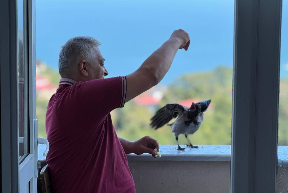 Fındık bahçesinden gelen dostluk! Hamsiyi çok seviyor