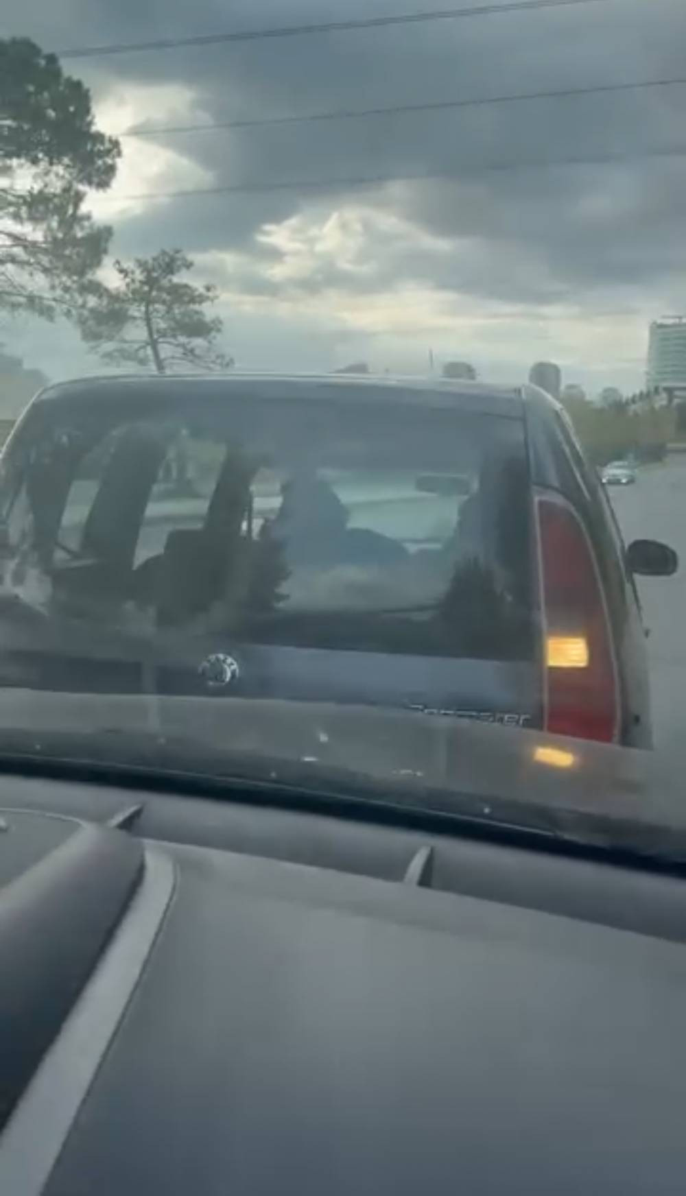 Kadının çaresiz çığlığı! ‘Ölmek İstemiyorum'