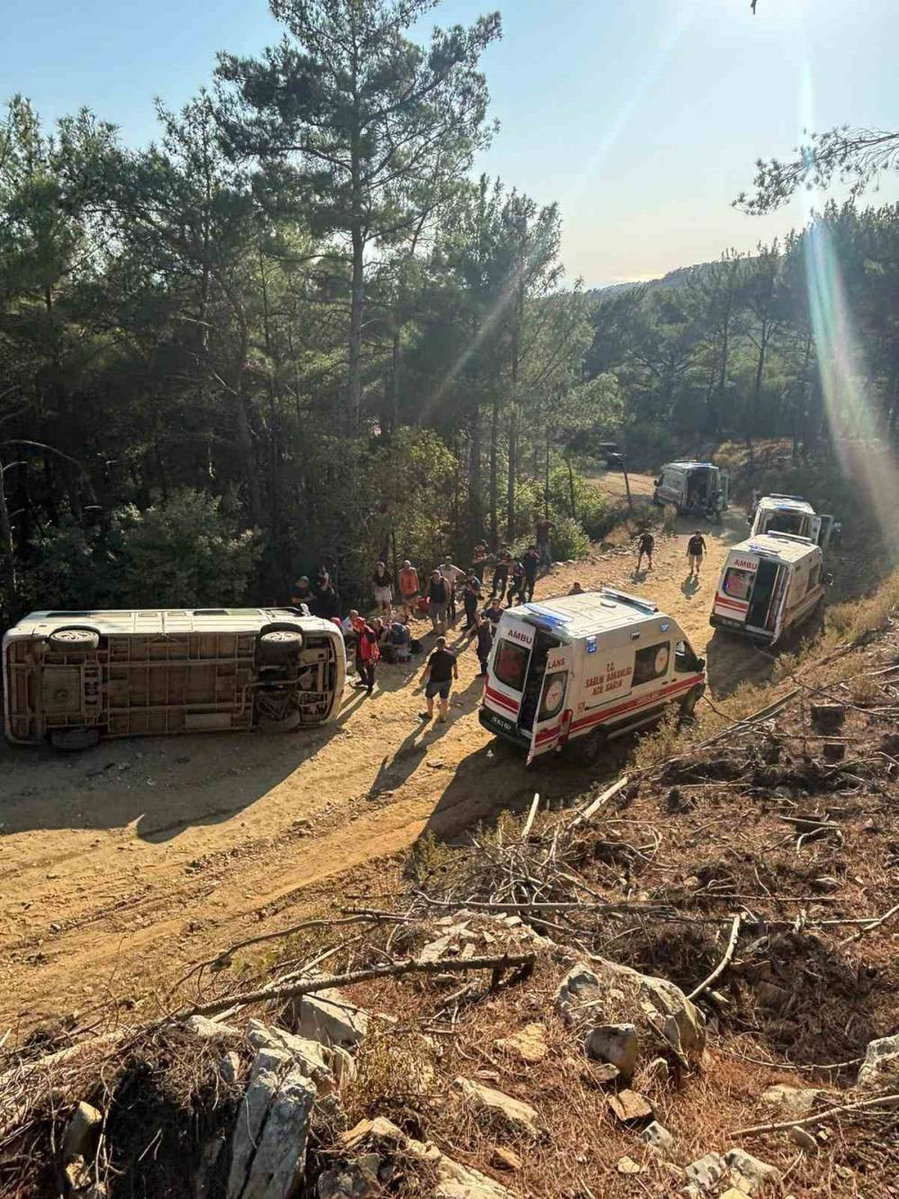 Kazdağı Milli Parkı’nda facia! Ağlayan Çam’da tur minibüsü devrildi! 11 kişi hastanelik