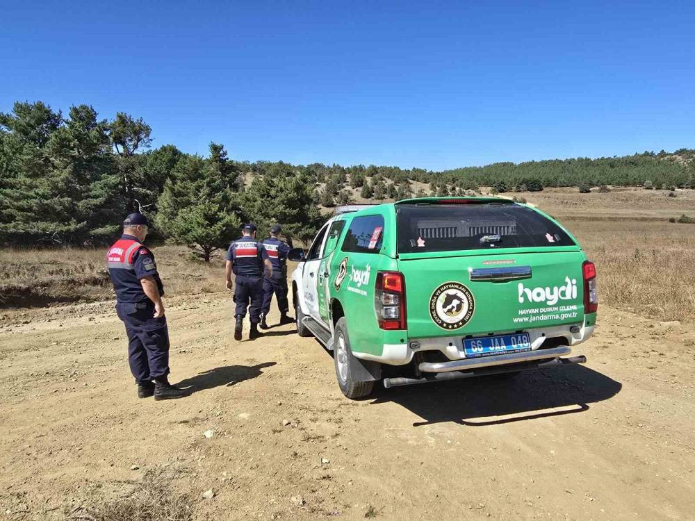 Basuru ve kabızlığı bitiriyor! Kalbi makine gibi çalıştırıyor: Jandarma başında nöbet tutuyor: 2 kilosu 15 kişiye 1 yıl yetiyor