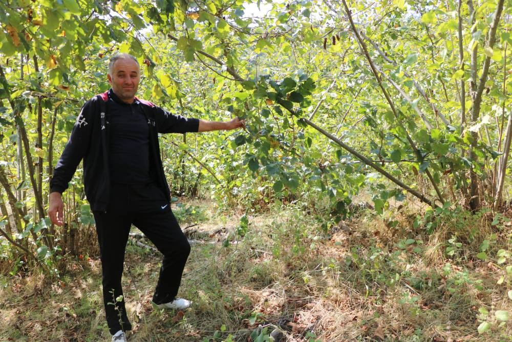 Köyde korku hâkim! Parmağı koptu: 20 yıl sonra aynı kâbusu yaşadı