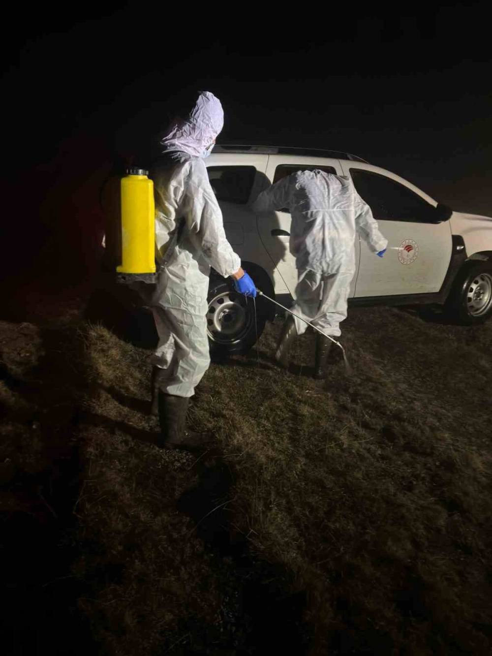 Gümüşhane’de şap alarmı: 5 köy karantinada! Giriş-çıkışı yasak