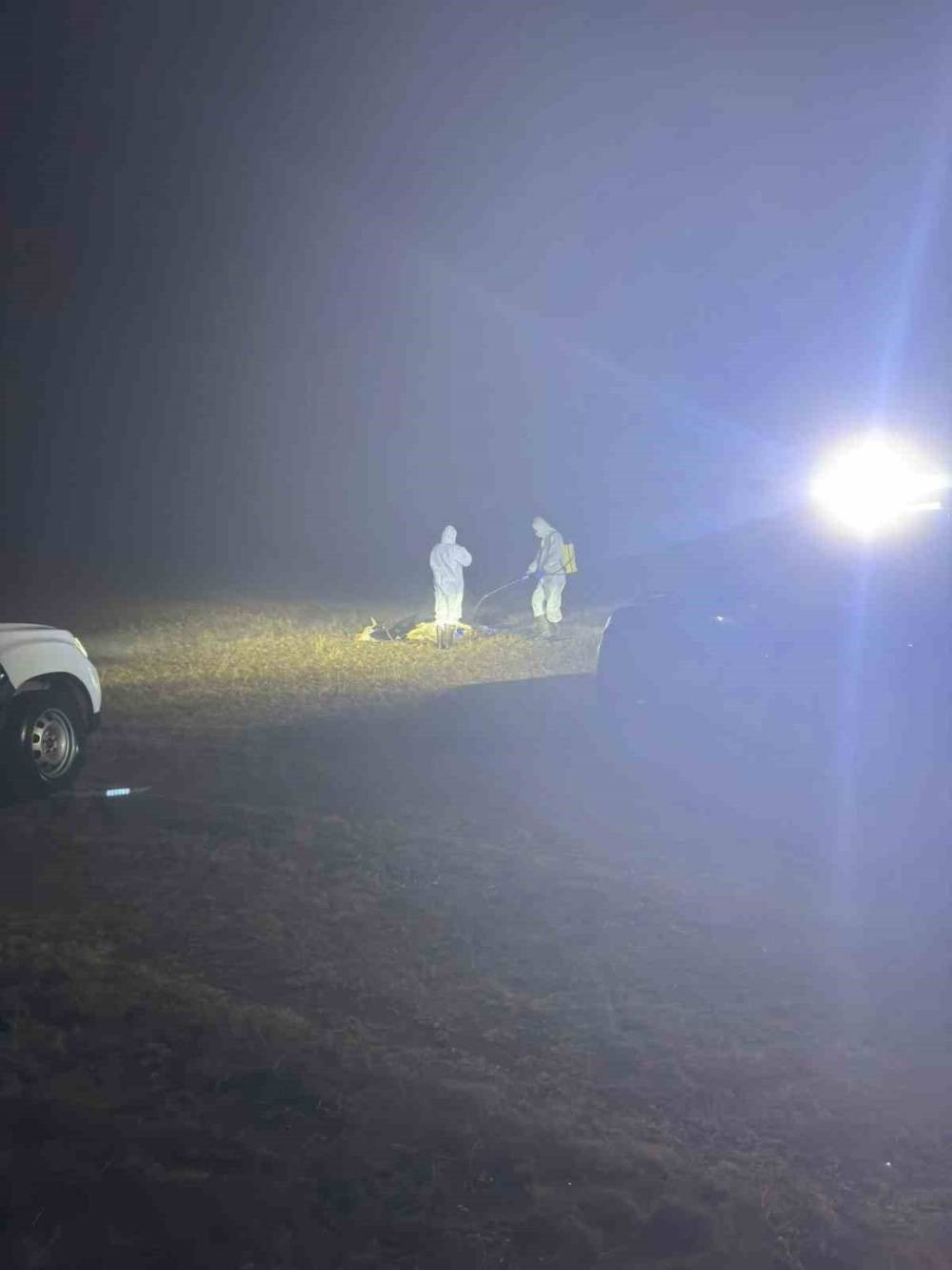 Gümüşhane’de şap alarmı: 5 köy karantinada! Giriş-çıkışı yasak