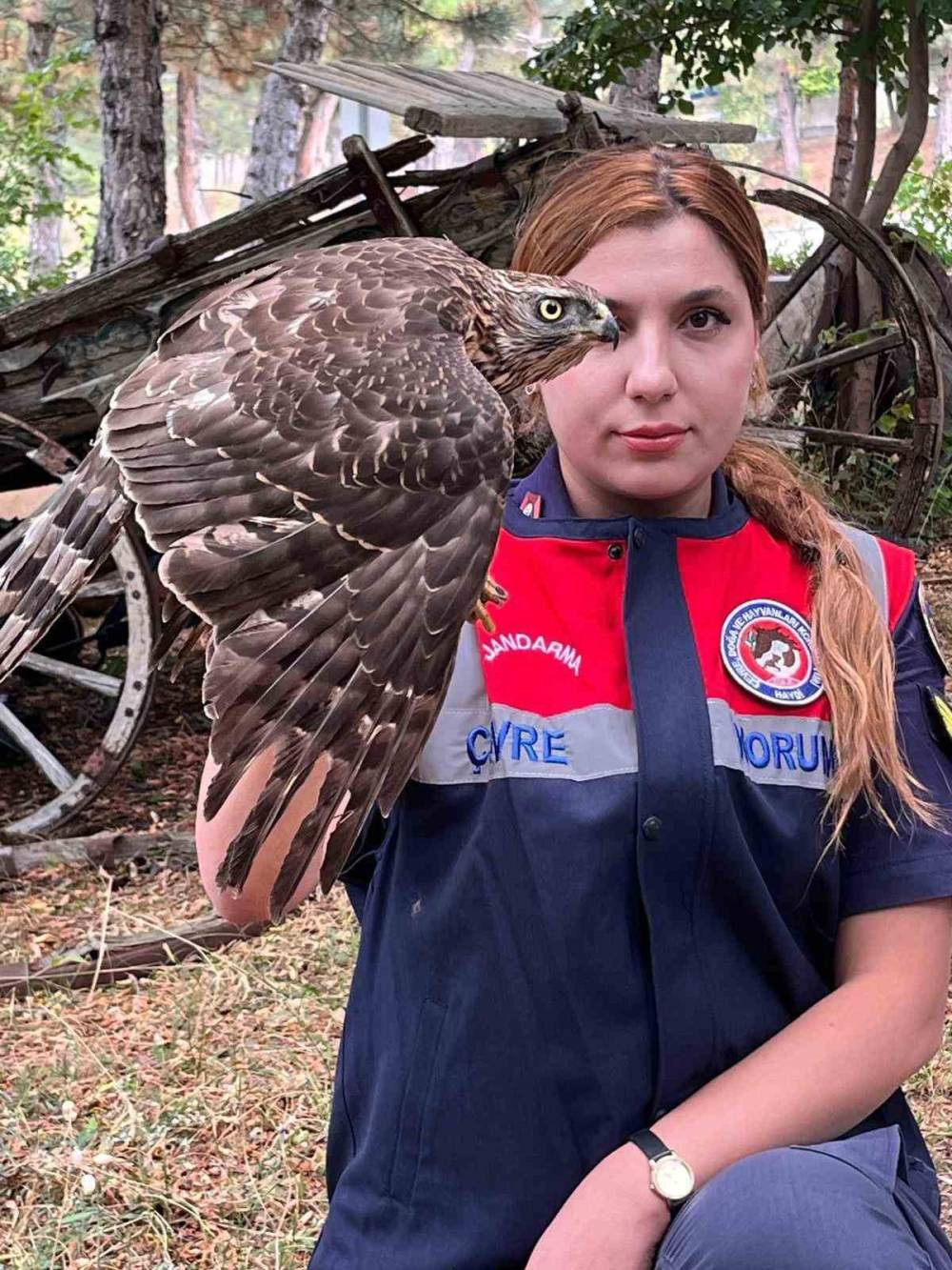Jandarmanın şefkat eli “Çakır”ı kurtardı!