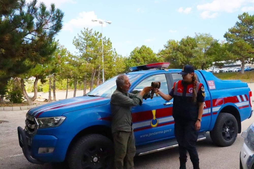 Jandarmanın şefkat eli “Çakır”ı kurtardı!