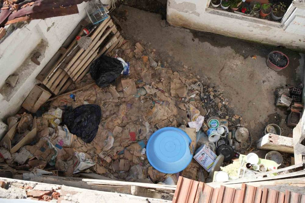 Sıçan istilası mahalleliyi çıldırttı: Kedi büyüklüğündeler!