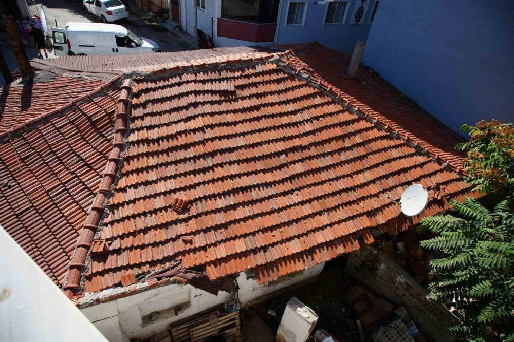 Sıçan istilası mahalleliyi çıldırttı: Kedi büyüklüğündeler!