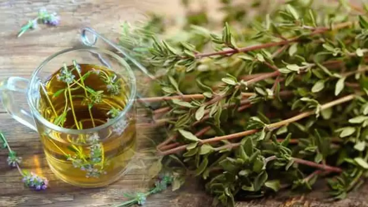 kekik-suyunun-faydalari-nelerdir-damitilmis-kekik-suyu-nasil-hazirlanir-1640584980-8062.webp