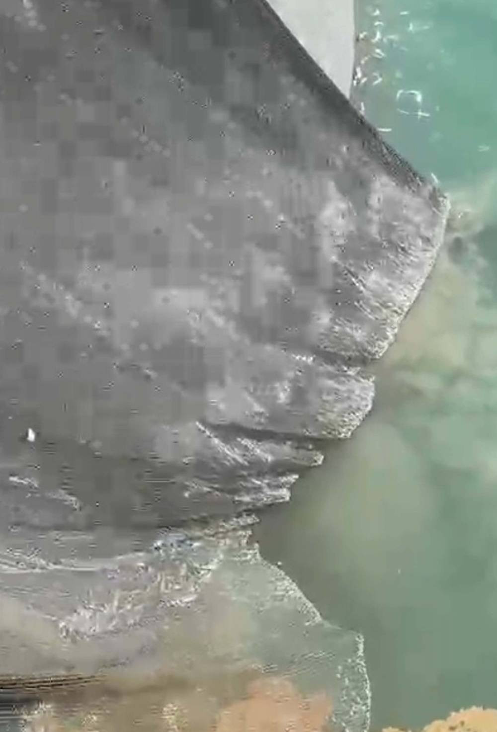 Marmara denizinde bir ilk yaşandı! Balıkçılar şokta: Umutları kestane karasında