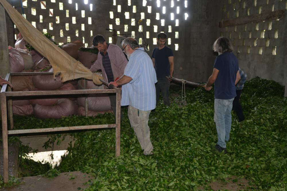 Üstü çay alım yeri, altı yol