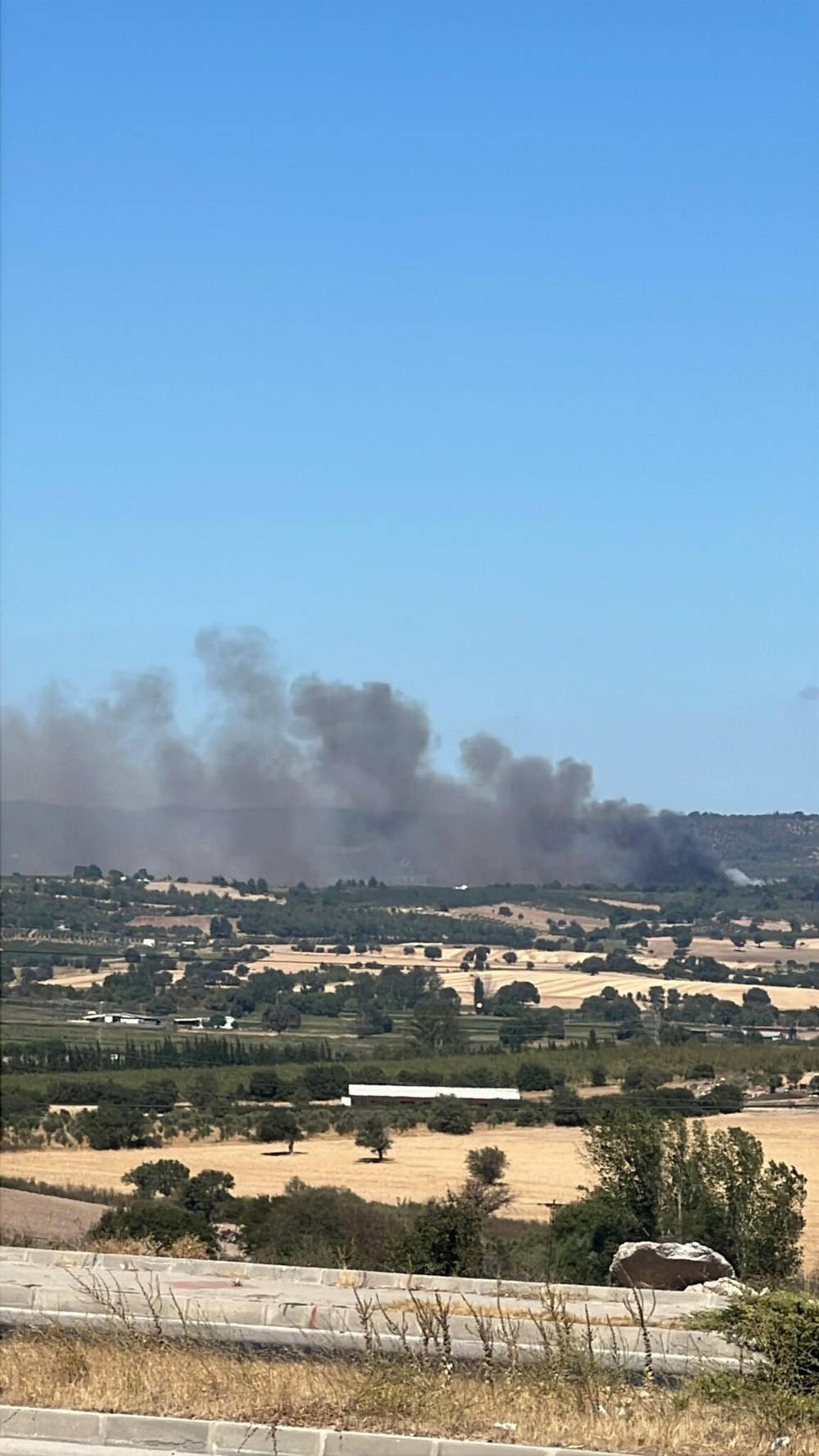 Ezine’de orman yanıyor: Ekipler seferber oldu!