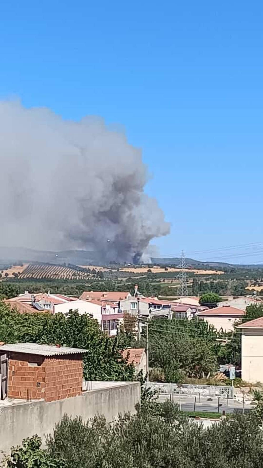 Ezine’de orman yanıyor: Ekipler seferber oldu!