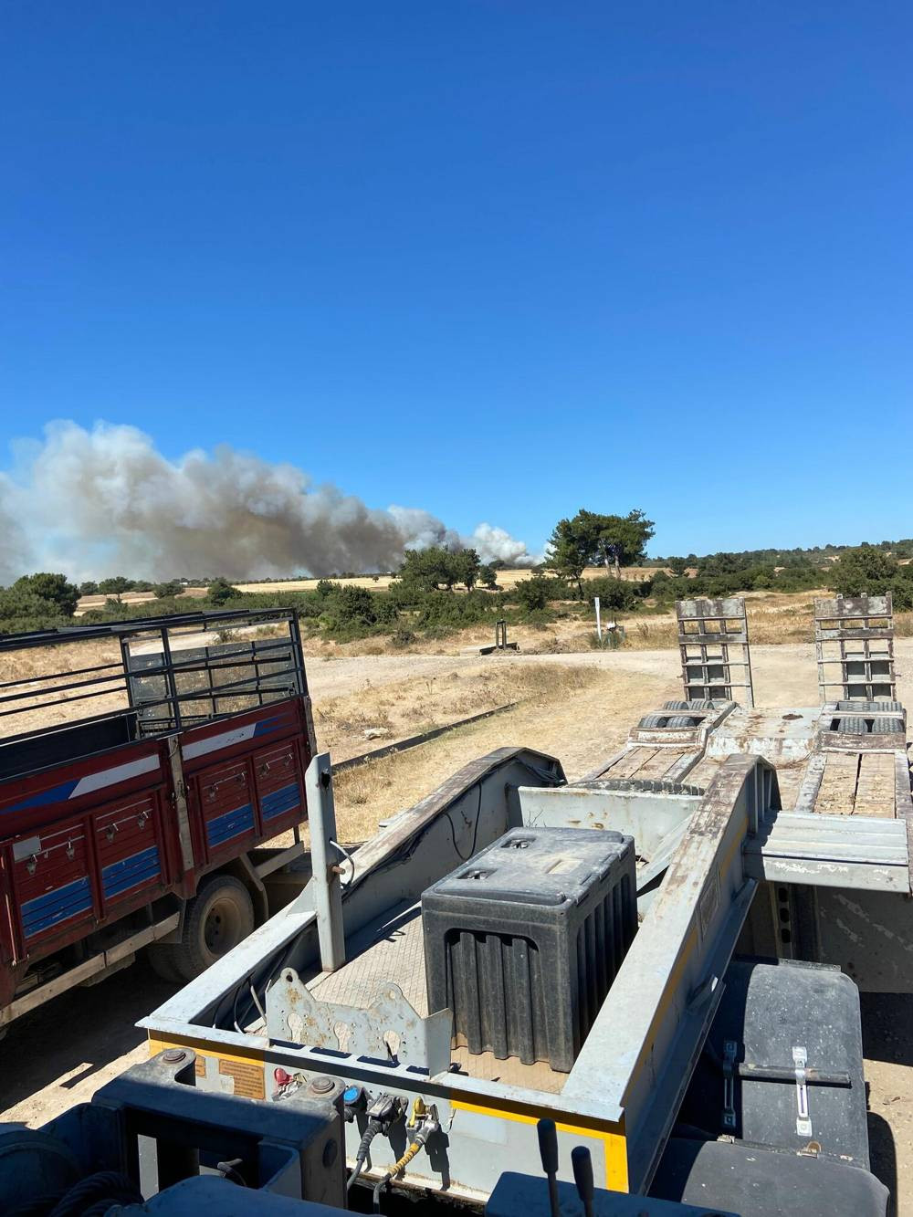 Ezine’de orman yanıyor: Ekipler seferber oldu!