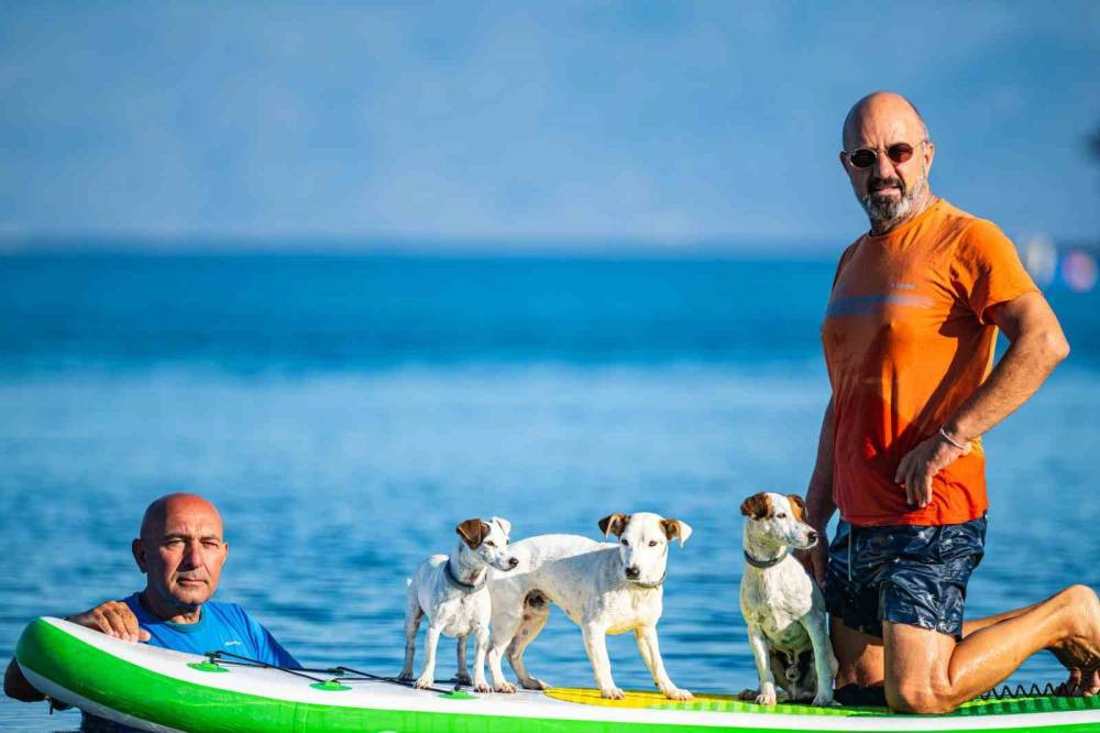 Köpekler Paddle Board’da: Gemiyatağı Koyu’nda deniz keyfi!