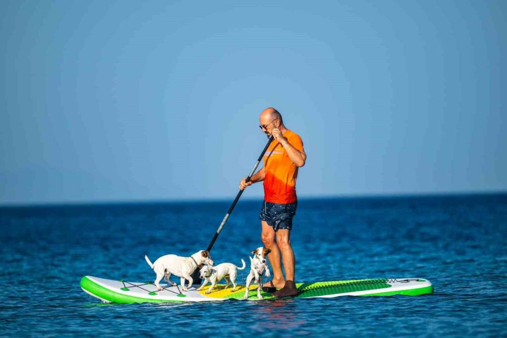 Köpekler Paddle Board’da: Gemiyatağı Koyu’nda deniz keyfi!