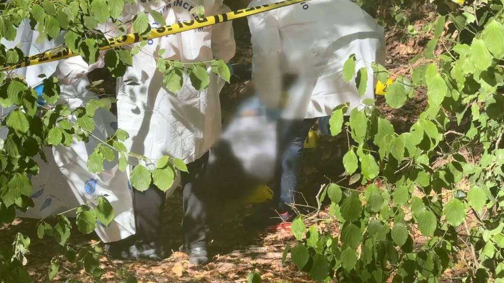 Yalnız çıkış, sonsuz karanlık! Ayetli mektup şok etti: Sarıyer'de ormanlık alanda ölü bulunmuştu