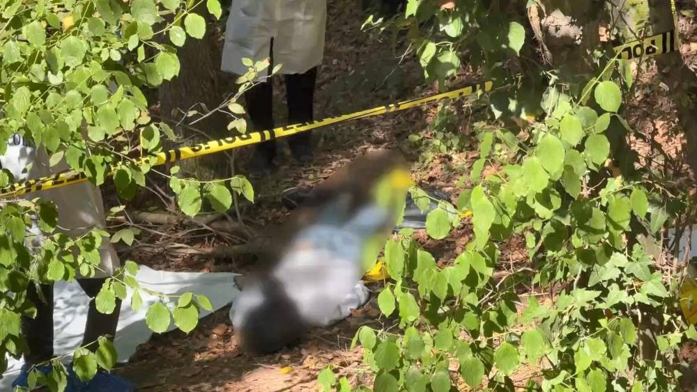 Yalnız çıkış, sonsuz karanlık! Ayetli mektup şok etti: Sarıyer'de ormanlık alanda ölü bulunmuştu