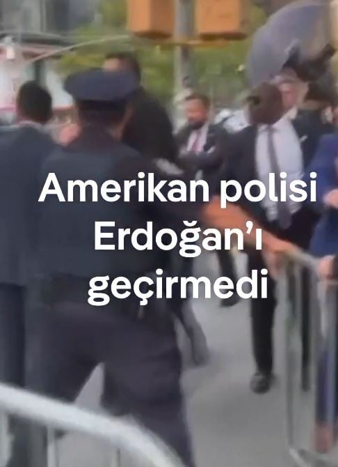 4-004.jpg